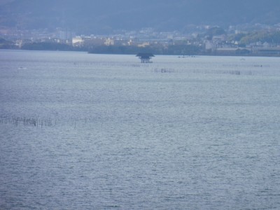 truth truth_diary ブログ写真 2016/01/01