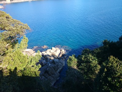 truth truth_diary ブログ写真 2016/01/19