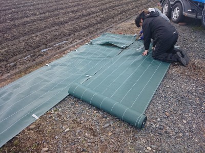 truth truth_diary ブログ写真 2016/02/17