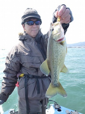 truth news ブログ写真 2012/03/17