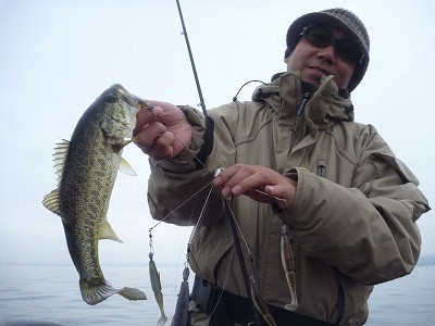 truth news ブログ写真 2012/03/18