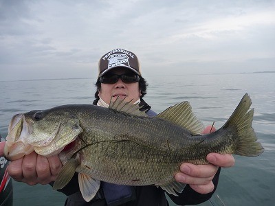 truth news ブログ写真 2012/03/18