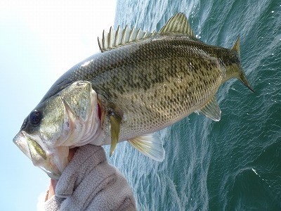 truth news ブログ写真 2012/03/25