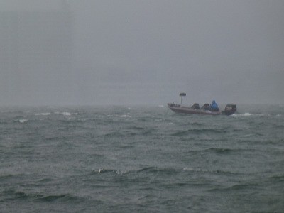 truth news ブログ写真 2012/03/25