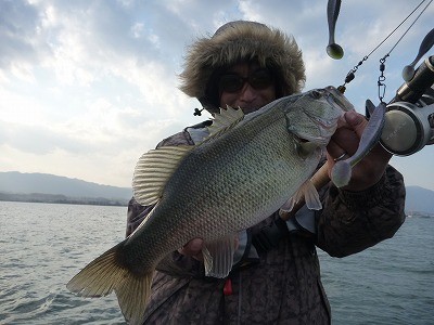 truth news ブログ写真 2012/03/28