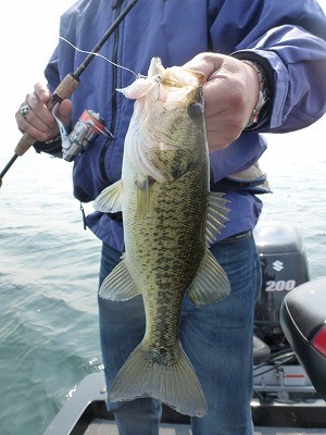 truth news ブログ写真 2012/03/28