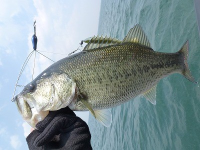 truth news ブログ写真 2012/03/28