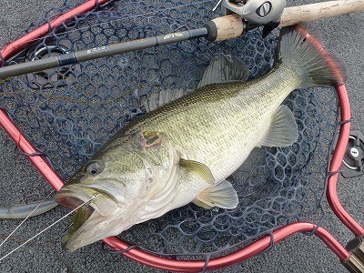 truth news ブログ写真 2012/03/28