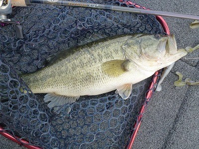 truth news ブログ写真 2012/03/28