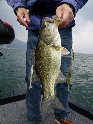 truth news ブログ写真 2012/03/28