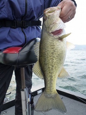 truth news ブログ写真 2012/03/28