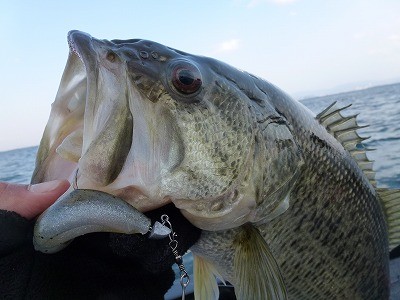 truth news ブログ写真 2012/03/28