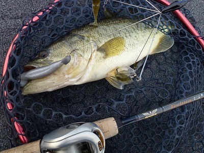 truth news ブログ写真 2012/03/28