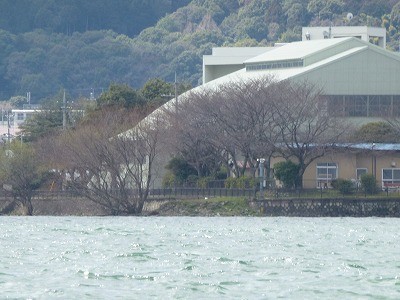 truth news ブログ写真 2012/04/01