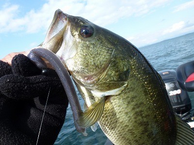 truth news ブログ写真 2012/04/01