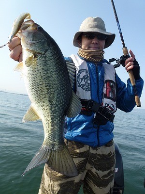 truth news ブログ写真 2012/04/03