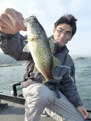 truth news ブログ写真 2012/04/03