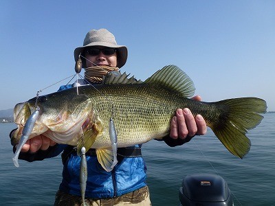 truth news ブログ写真 2012/04/03