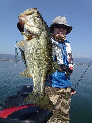 truth news ブログ写真 2012/04/03