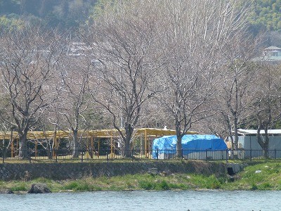 truth news ブログ写真 2012/04/03