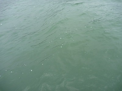 truth news ブログ写真 2012/04/06