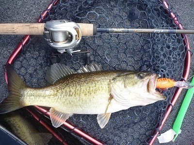 truth news ブログ写真 2012/04/06