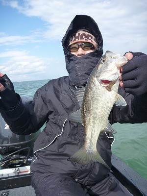 truth news ブログ写真 2012/04/06