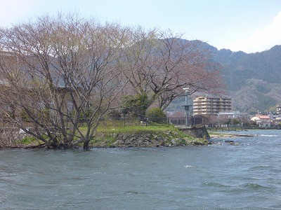 truth news ブログ写真 2012/04/07