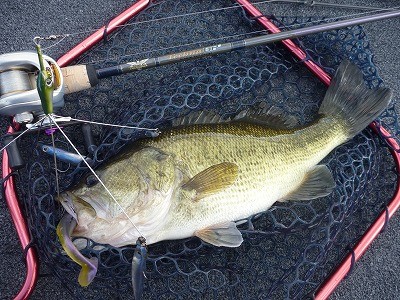 truth news ブログ写真 2012/04/07