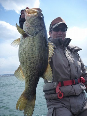 truth news ブログ写真 2012/04/07