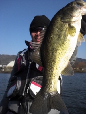 truth news ブログ写真 2012/04/08