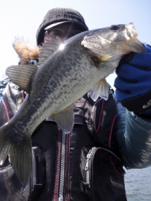 truth news ブログ写真 2012/04/08