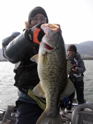 truth news ブログ写真 2012/04/08