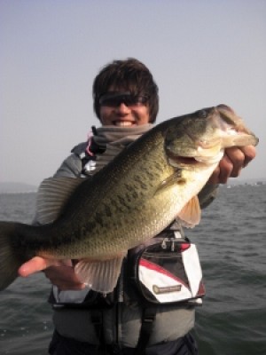 truth news ブログ写真 2012/04/08