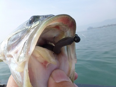 truth news ブログ写真 2012/04/11