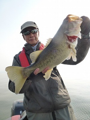 truth news ブログ写真 2012/04/11