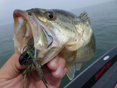 truth news ブログ写真 2012/04/11