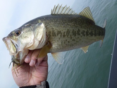 truth news ブログ写真 2012/04/11