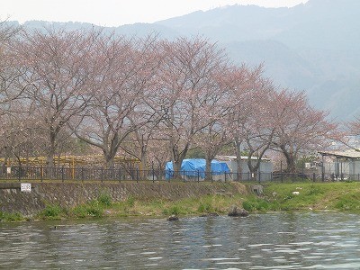 truth news ブログ写真 2012/04/11