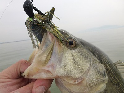 truth news ブログ写真 2012/04/11