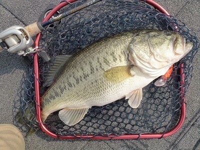 truth news ブログ写真 2012/04/11