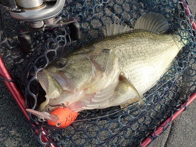 truth news ブログ写真 2012/04/11