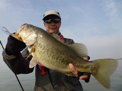 truth news ブログ写真 2012/04/11