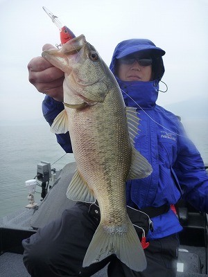 truth news ブログ写真 2012/04/11