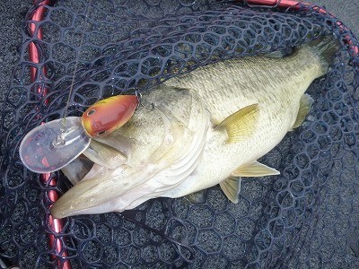 truth news ブログ写真 2012/04/11