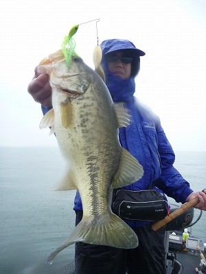 truth news ブログ写真 2012/04/11