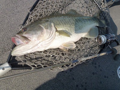 truth news ブログ写真 2012/04/13