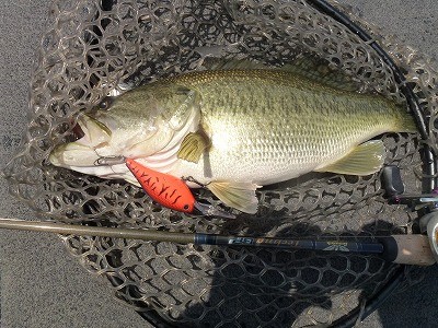 truth news ブログ写真 2012/04/13