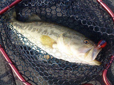 truth news ブログ写真 2012/04/14