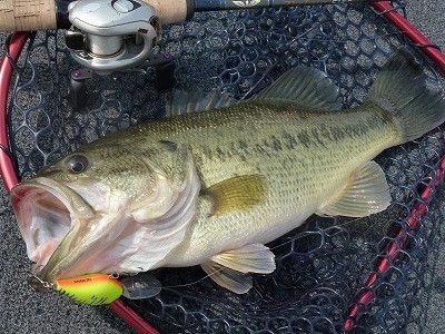 truth news ブログ写真 2012/04/14